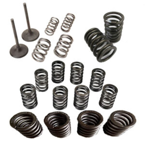 lò xo xú páp xe nâng Forklift-valve-springs