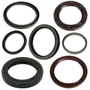 Phớt trục khuỷu xe nâng Oil Seal front crank