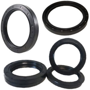 phớt đầu động cơ xe nâng Seal For Forklift