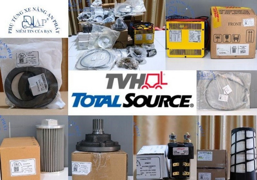 Phụ tùng xe nâng TVH phổ biến giá tốt